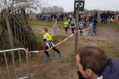 28661084_197816024284257_788119677630643117_n_197816024284257