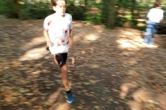 43788800_323696888362836_5773443099690795008_n_323696885029503