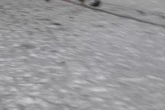 50911451_374656976600160_7237035128008998912_n_374656973266827